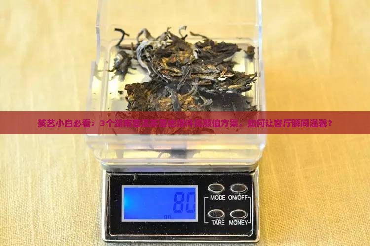 茶艺小白必看：3个湖南普洱茶落地摆件高颜值方案，如何让客厅瞬间温馨？