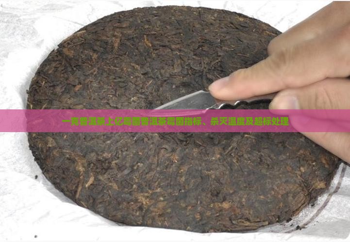 一克普洱茶上亿霉菌普洱茶霉菌指标、杀灭温度及超标处理