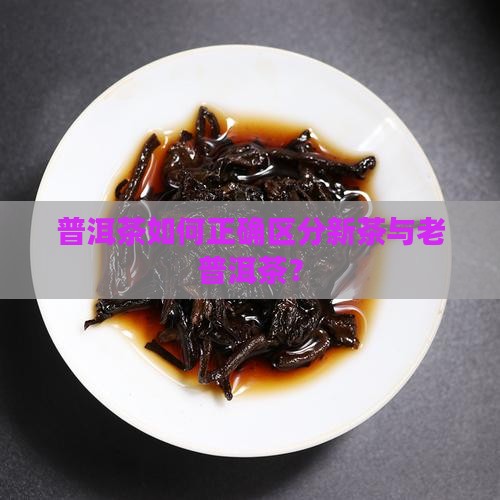 普洱茶如何正确区分新茶与老普洱茶？