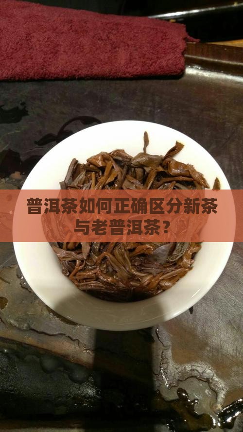 普洱茶如何正确区分新茶与老普洱茶？
