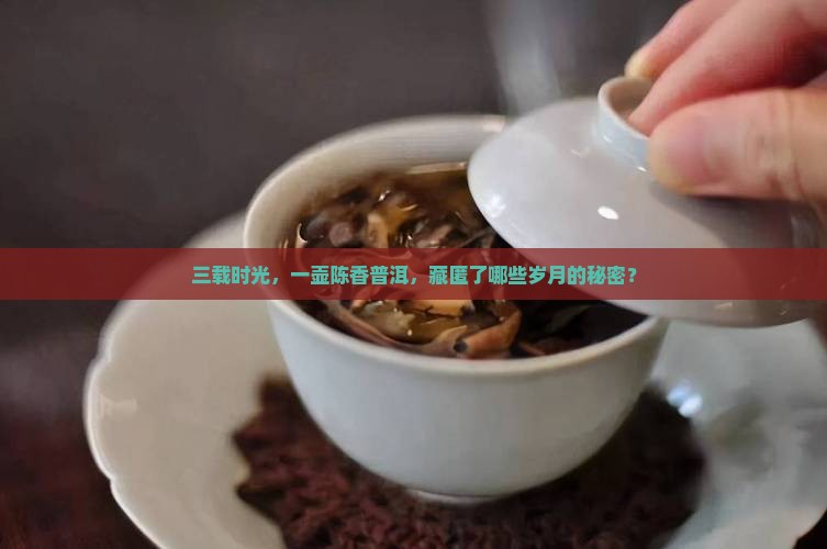 三载时光，一壶陈香普洱，藏匿了哪些岁月的秘密？