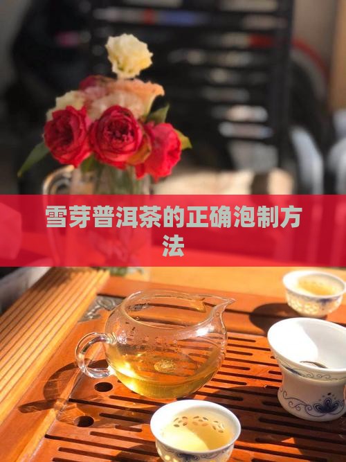 雪芽普洱茶的正确泡制方法