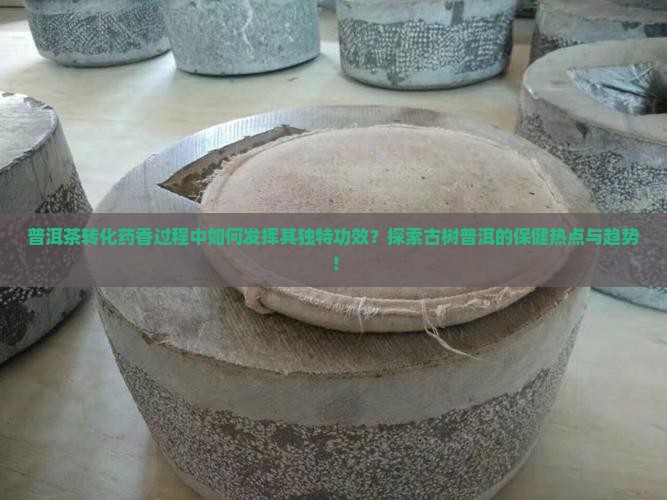 普洱茶转化药香过程中如何发挥其独特功效？探索古树普洱的保健热点与趋势！