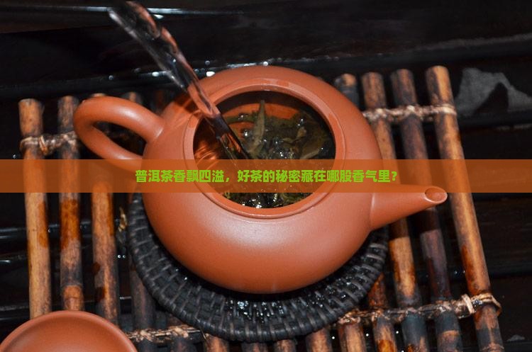 普洱茶香飘四溢，好茶的秘密藏在哪股香气里？