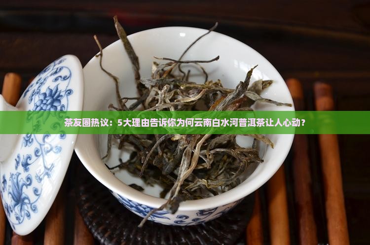 茶友圈热议：5大理由告诉你为何云南白水河普洱茶让人心动？
