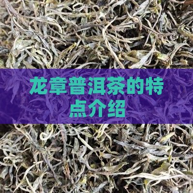 龙章普洱茶的特点介绍