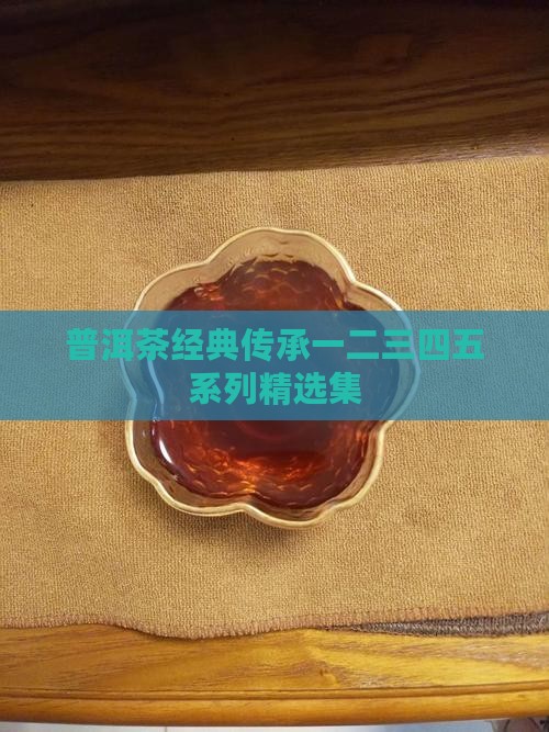 普洱茶经典传承一二三四五系列精选集