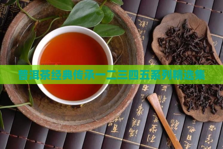 普洱茶经典传承一二三四五系列精选集