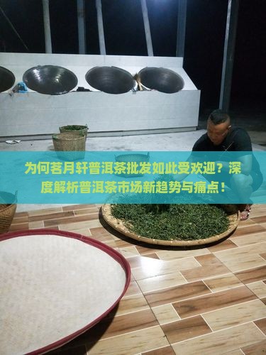 为何茗月轩普洱茶批发如此受欢迎？深度解析普洱茶市场新趋势与痛点！