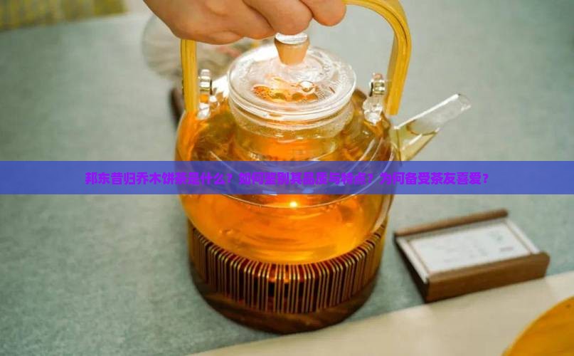 邦东昔归乔木饼茶是什么？如何鉴别其品质与特点？为何备受茶友喜爱？