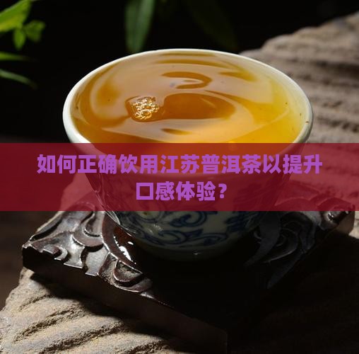 如何正确饮用江苏普洱茶以提升口感体验？