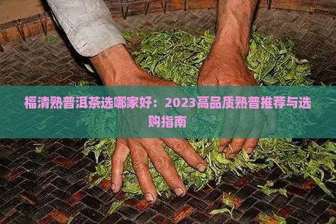 福清熟普洱茶选哪家好：2023高品质熟普推荐与选购指南