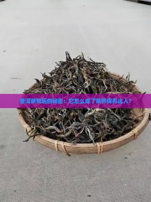 普洱茶背后的秘密：它怎么成了茶界保养达人？