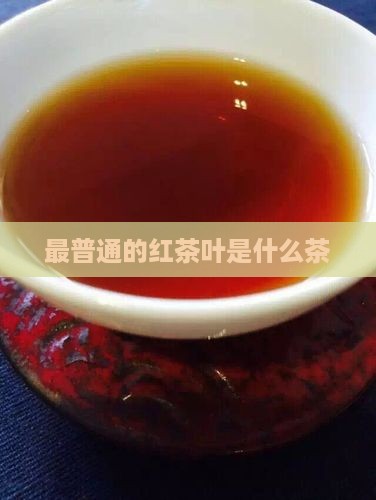 最普通的红茶叶是什么茶