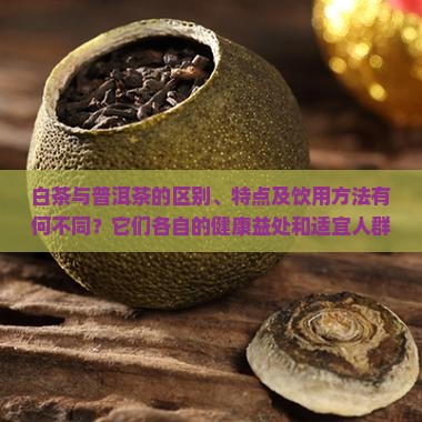 白茶与普洱茶的区别、特点及饮用方法有何不同？它们各自的健康益处和适宜人群是怎样的？
