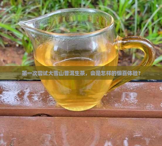 第一次尝试大雪山普洱生茶，会是怎样的惊喜体验？