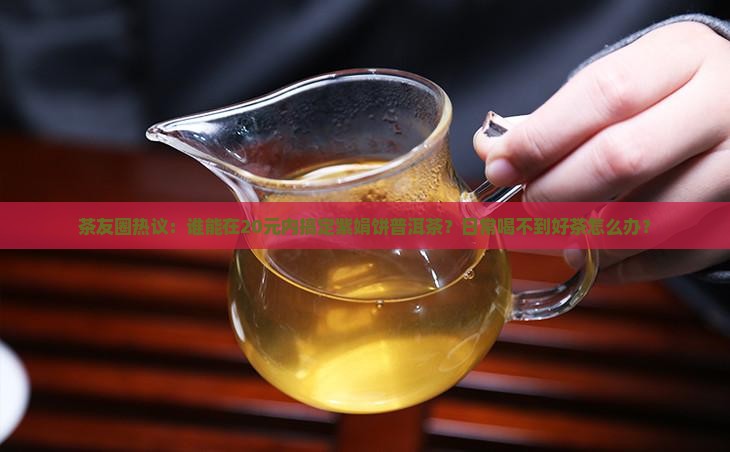 茶友圈热议：谁能在20元内搞定紫娟饼普洱茶？日常喝不到好茶怎么办？