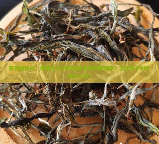 茶友圈热议：谁能在20元内搞定紫娟饼普洱茶？日常喝不到好茶怎么办？
