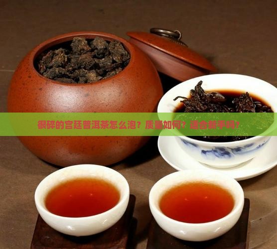 很碎的宫廷普洱茶怎么泡？质量如何？适合新手吗？
