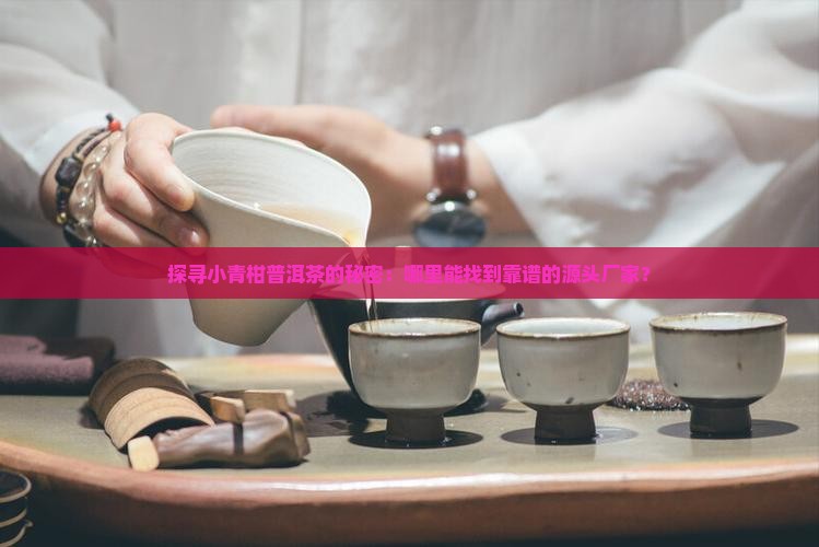探寻小青柑普洱茶的秘密：哪里能找到靠谱的源头厂家？