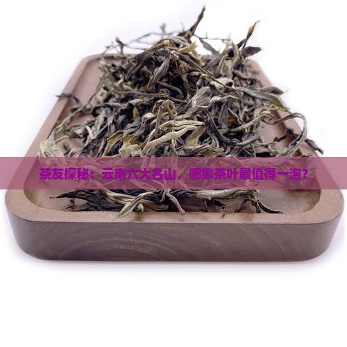 茶友探秘：云南六大名山，哪家茶叶最值得一泡？