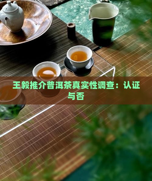 王毅推介普洱茶真实性调查：认证与否