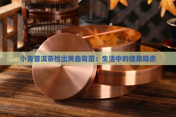 小青普洱茶检出黄曲霉菌：生活中的健康隐患