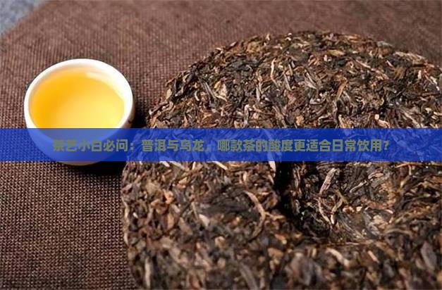 茶艺小白必问：普洱与乌龙，哪款茶的酸度更适合日常饮用？