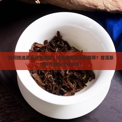 如何挑选高品质普洱茶？哪些普洱茶值得推荐？普洱茶选购有哪些注意事项？