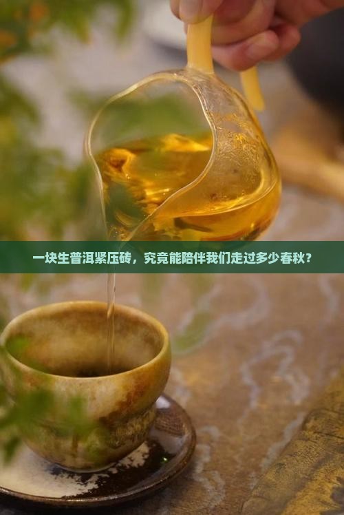 一块生普洱紧压砖，究竟能陪伴我们走过多少春秋？