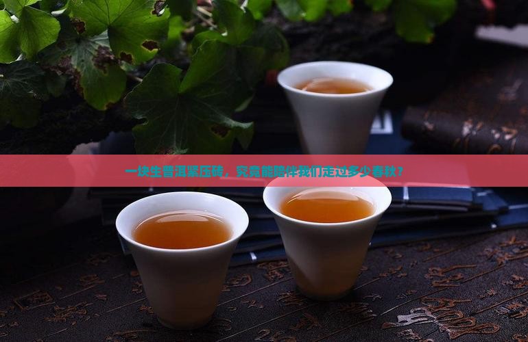 一块生普洱紧压砖，究竟能陪伴我们走过多少春秋？