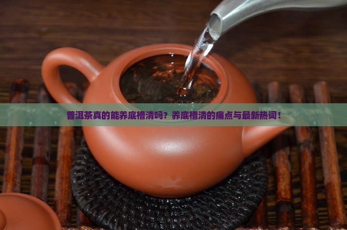 普洱茶真的能养底槽清吗？养底槽清的痛点与最新热词！