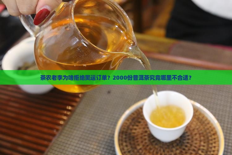 茶农老李为啥拒绝奥运订单？2000份普洱茶究竟哪里不合适？