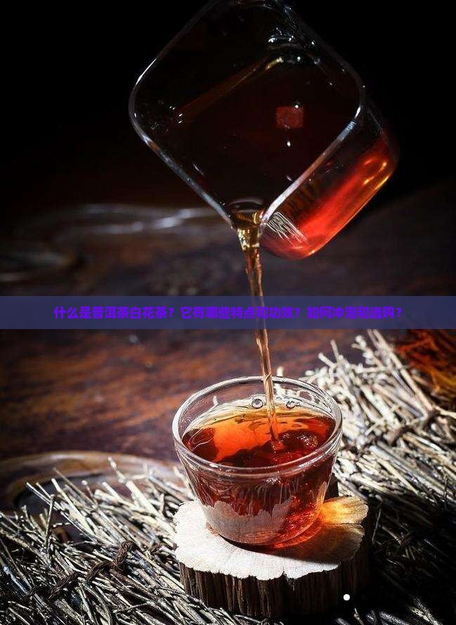 什么是普洱茶白花茶？它有哪些特点和功效？如何冲泡和选购？