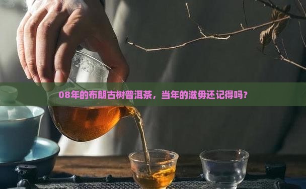 08年的布朗古树普洱茶，当年的滋毋还记得吗？
