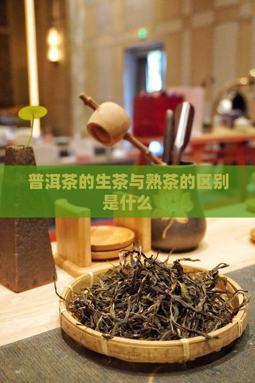 普洱茶的生茶与熟茶的区别是什么