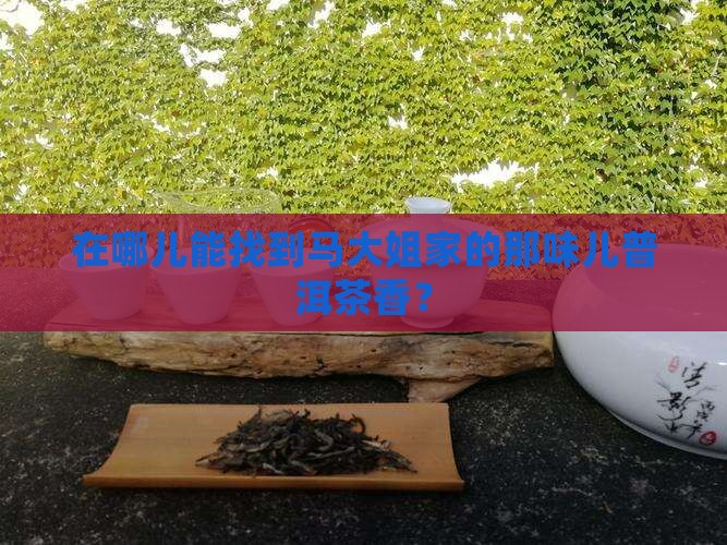 在哪儿能找到马大姐家的那味儿普洱茶香？