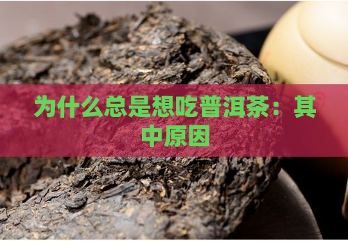 为什么总是想吃普洱茶：其中原因