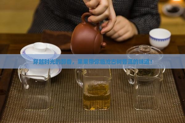 穿越时光的醇香，果果带你临沧古树普洱的味道！