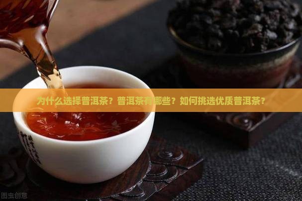 为什么选择普洱茶？普洱茶有哪些？如何挑选优质普洱茶？