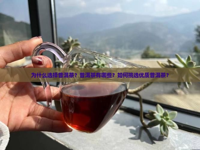为什么选择普洱茶？普洱茶有哪些？如何挑选优质普洱茶？