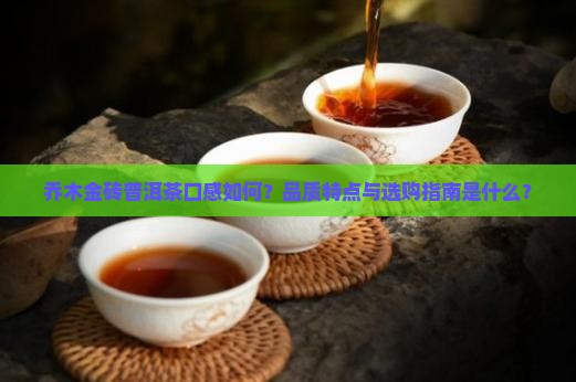 乔木金砖普洱茶口感如何？品质特点与选购指南是什么？