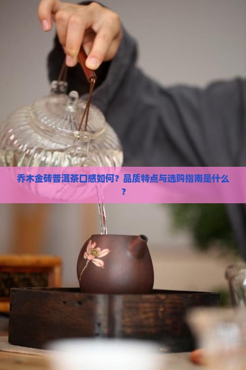 乔木金砖普洱茶口感如何？品质特点与选购指南是什么？