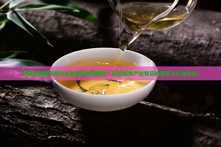 普洱茶种植周期与出茶时间如何确定？探索高效产出背后的痛点与行业热词！