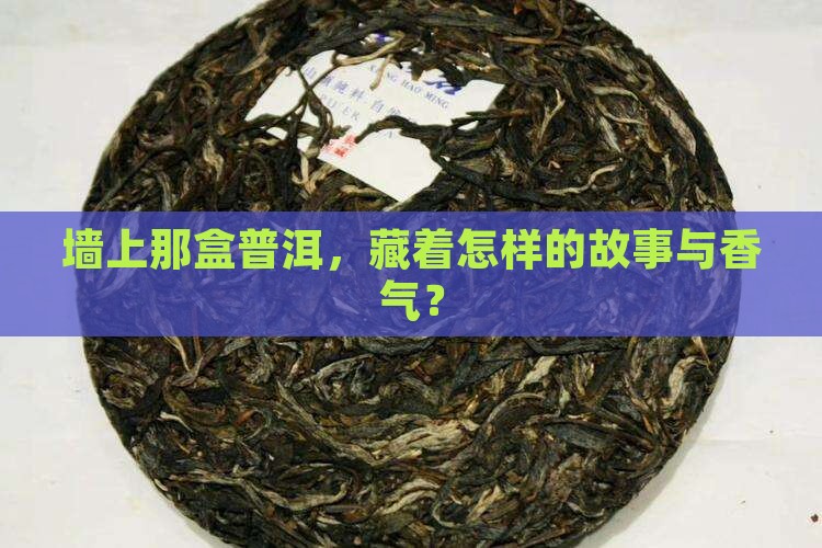 墙上那盒普洱，藏着怎样的故事与香气？