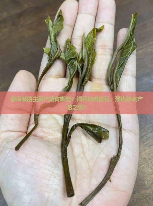 普洱茶的主要产地有哪些？揭开地域密码，聚焦热点产区之谜！