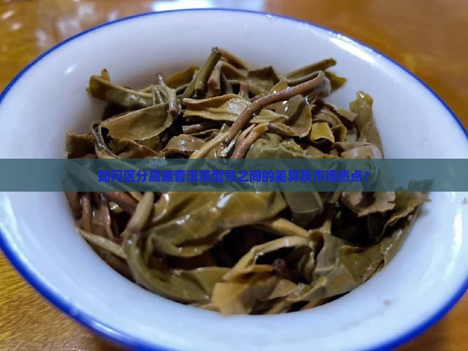 如何区分高端普洱茶型号之间的差异及市场热点？