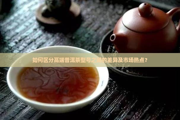 如何区分高端普洱茶型号之间的差异及市场热点？