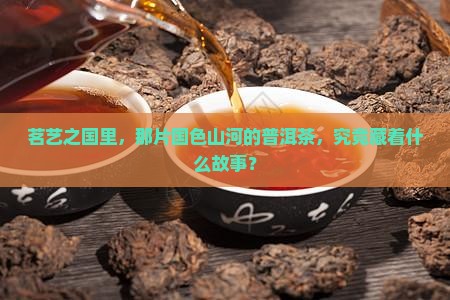 茗艺之国里，那片国色山河的普洱茶，究竟藏着什么故事？