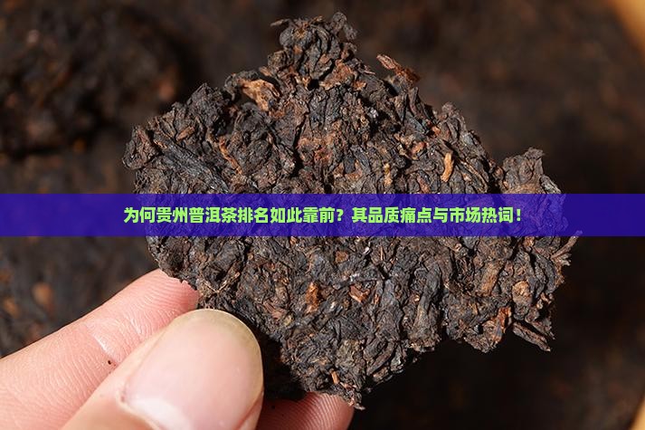 为何贵州普洱茶排名如此靠前？其品质痛点与市场热词！